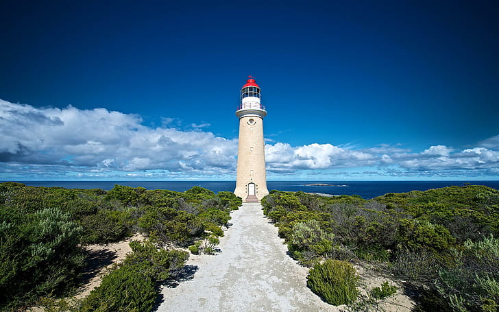 Lighthouse Island, island, nature, lighthouse, HD wallpaper