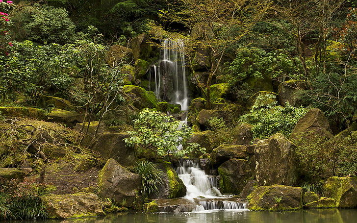 Wasserfall grüner Walddschungel schaukelt Steine ​​Moos HD, Wasserfälle und grüne Bäume, Natur, Grün, Wald, Felsen, Steine, Wasserfall, Moos, Dschungel, HD-Hintergrundbild