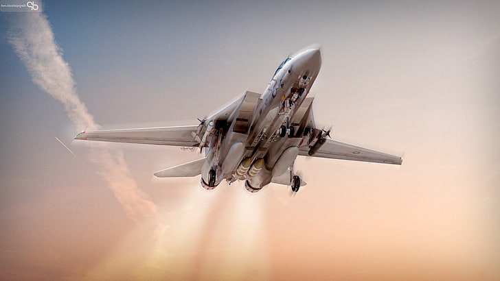 flugzeug, flugzeug, F 14 Tomcat, f14, militär, HD-Hintergrundbild