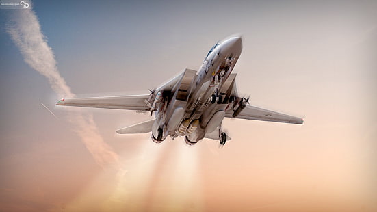 самолет, самолет, F 14 Tomcat, F14, военный, HD обои HD wallpaper