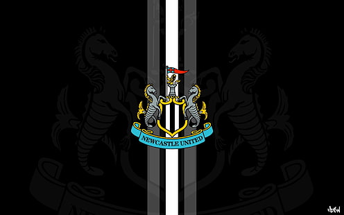 Newcastle, fútbol, ​​deportes, unidos, Fondo de pantalla HD HD wallpaper