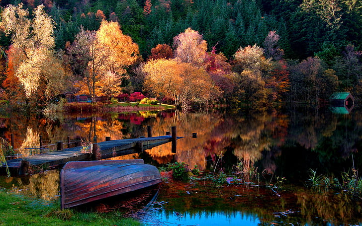 ฤดูใบไม้ร่วงในป่าทะเลสาบในตอนเช้า, ฤดูใบไม้ร่วง, ทะเลสาบ, ป่า, ตอนเช้า, วอลล์เปเปอร์ HD