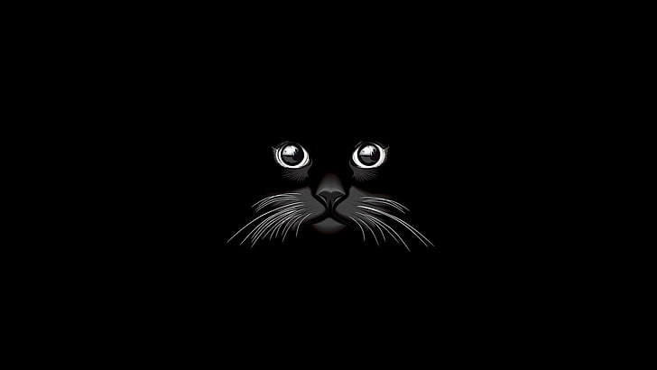 قطة ، بساطتها ، أسود، خلفية HD