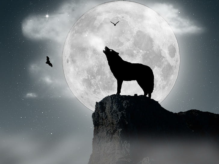 The Wolfmoon, predator, bird, planet, silhouette, shadow, wolf, animals, HD wallpaper