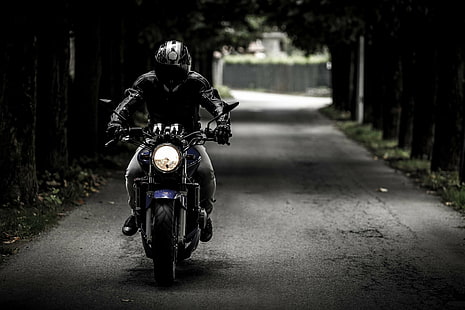 aventura, asfalto, motociclista, interruptor inversor, motor, estilo de vida, moto, motocicleta, poder, passeio, estrada, velocidade, viagem, veículo, HD papel de parede HD wallpaper