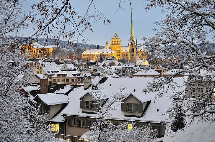 зима, снег, ветки, здания, дома, Швейцария, крыша, Цюрих, HD обои