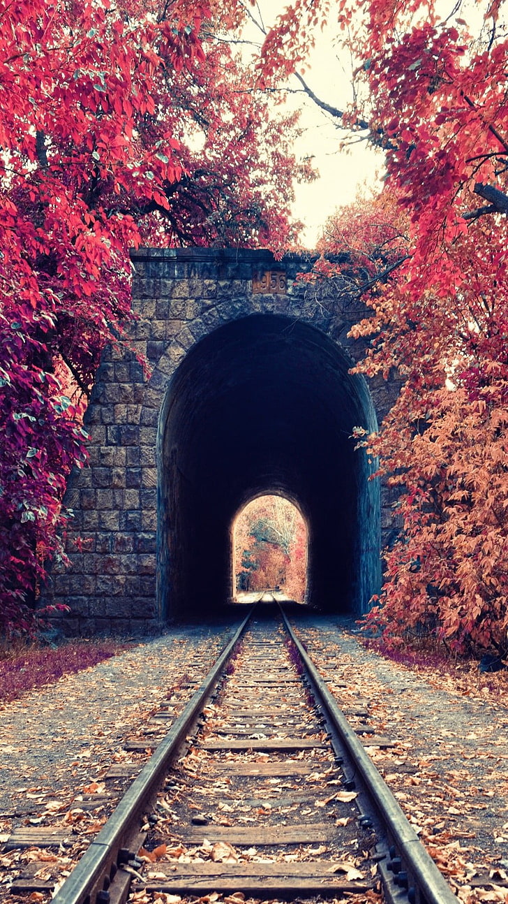 черен бетонен тунел, портретен дисплей, природа, дървета, падане, листа, железопътна линия, тунел, червено, тухли, Армения, HD тапет, тапет за телефон
