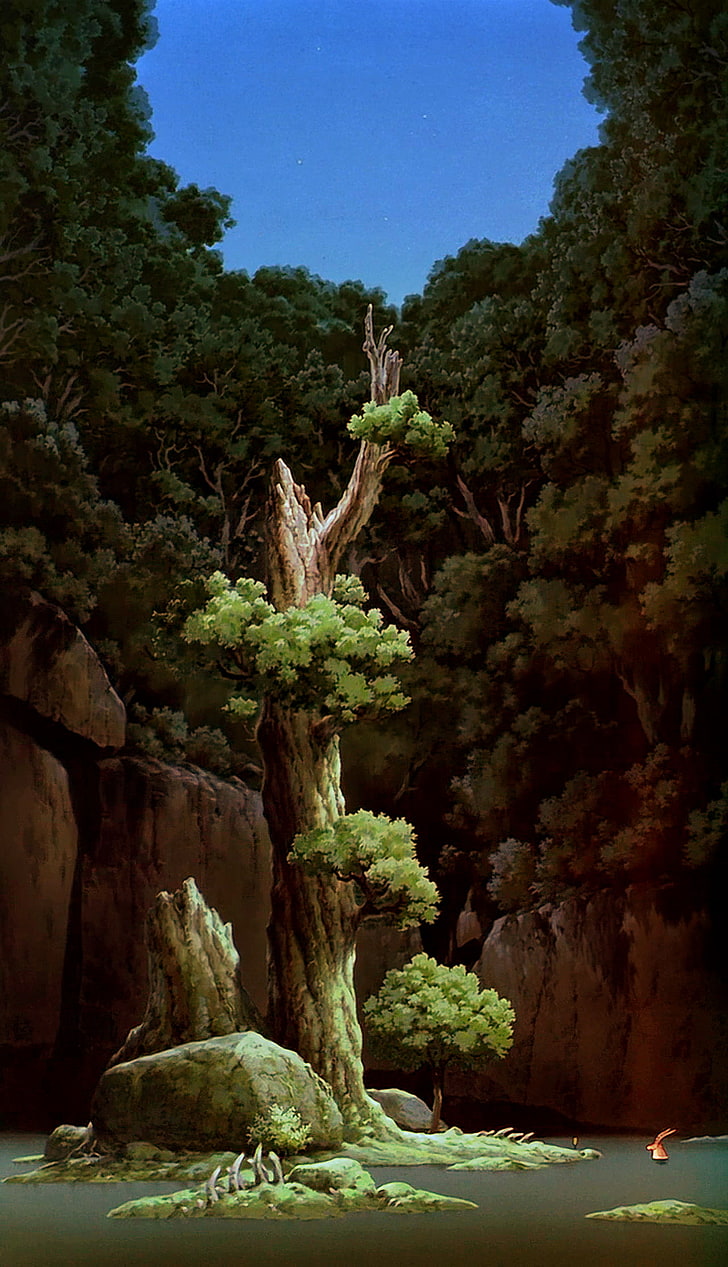 Anime, Studio Ghibli, Prinzessin Mononoke, HD-Hintergrundbild, Handy-Hintergrundbild