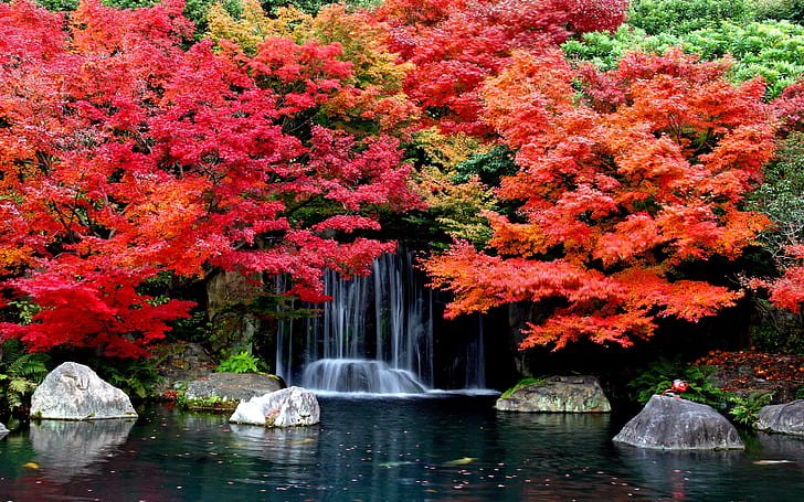 Autumn Falls Desktop Background Hd Wallpapers 1629361 2560 × 1600 Autumn, HD tapet