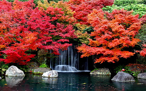 Есенни водопади Фон на работния плот Hd Тапети 1629361 2560 × 1600 Есен, HD тапет HD wallpaper