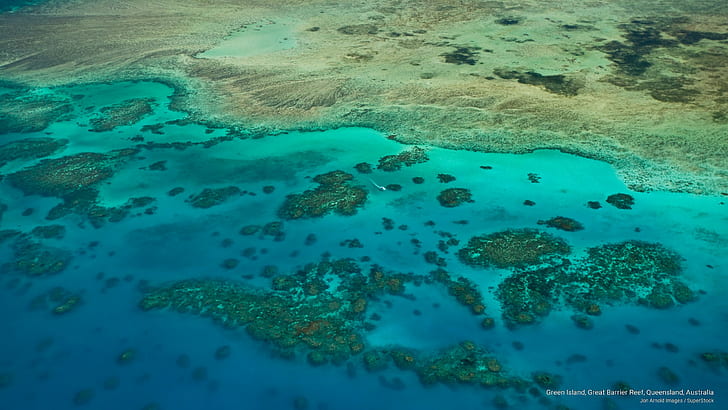 الجزيرة الخضراء ، الحاجز المرجاني العظيم ، كوينزلاند ، أستراليا ، أوقيانوسيا، خلفية HD