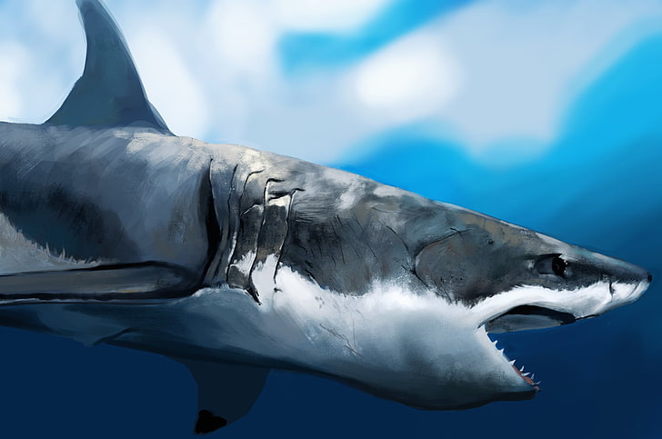 pintura de tiburón gris y blanco, tiburón, arte, boca, perfil, bajo el agua, hambre, Fondo de pantalla HD