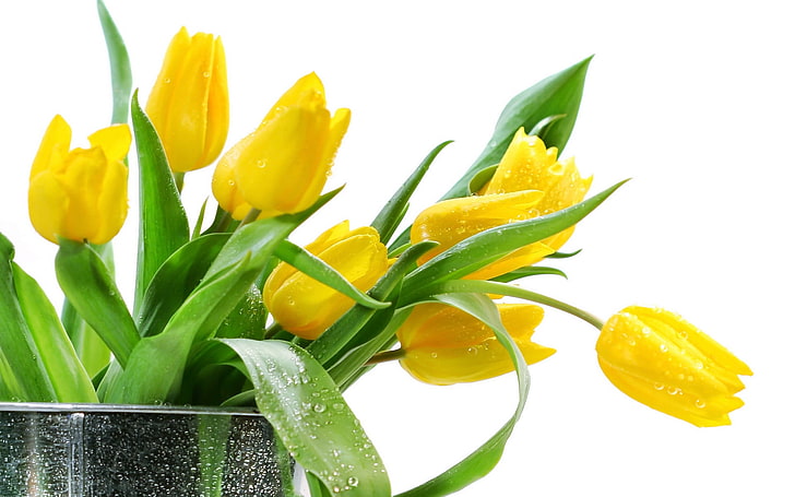 yellow tulip flower arrangement, tulips, yellow, flowers, bouquet, HD wallpaper