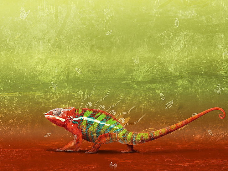 зелено-оранжевая живопись хамелеона, природа, животные, рептилии, хамелеоны, разноцветные, HD обои