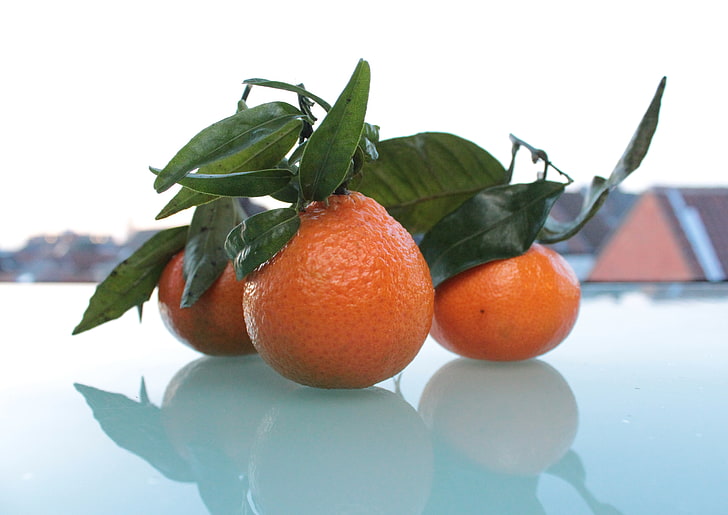 three citrus fruits, tangerines, fruit, citrus, HD wallpaper