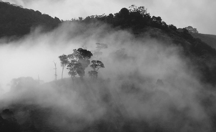 Foggy Black And White Landscapes, fogy mountain, Aero, Black, White, Foggy, Landscapes, HD wallpaper
