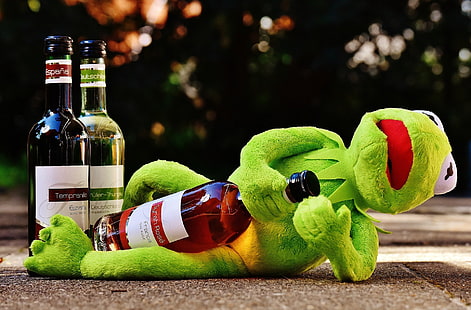 алкохол, напитка, пиян, жаба, кермит, вино, HD тапет HD wallpaper