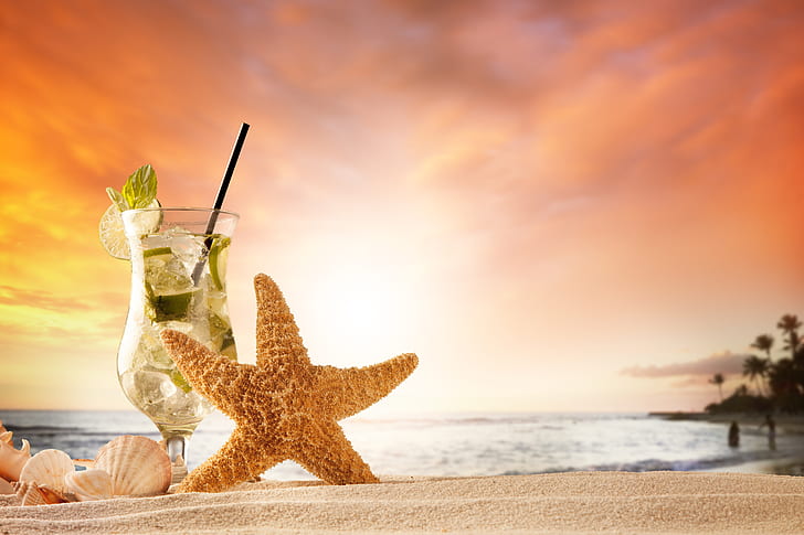 sand, sea, beach, summer, sunset, shell, vacation, mojito, starfish, seashells, HD wallpaper