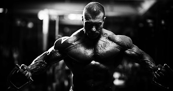body building, bodybuilding, fitness, lifting, muscle, muscles, weight, HD wallpaper HD wallpaper