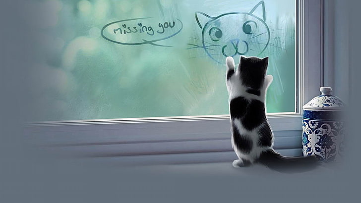 weißes und schwarzes Kätzchen, Tiere, Katze, Tierbabys, Kätzchen, Gläser, Fenster, digitale Kunst, HD-Hintergrundbild