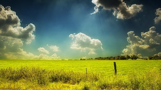 zielone trawy, pole, pastwisko, niebo, chmury, dzień, lato, farby, kolory, Tapety HD HD wallpaper