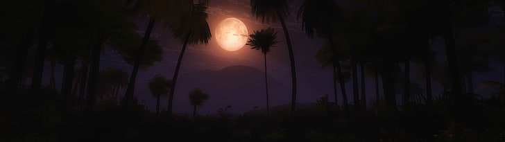 Silhouette der Bäume Wallpaper, mehrere Display, Mond, Palmen, HD-Hintergrundbild