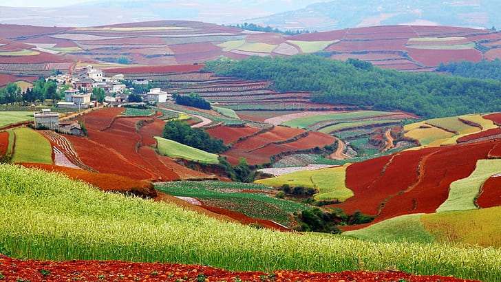 Campos coloridos em Yunnan China, campos, vila, colinas, cores, natureza e paisagens, HD papel de parede