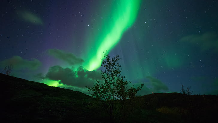 Aurora Borealis Kuzey ışıkları yeşil yıldız gece ağacı HD, yeşil aurora, doğa, gece, yeşil, yıldız, ağaç, ışıklar, aurora, borealis, Kuzey, HD masaüstü duvar kağıdı