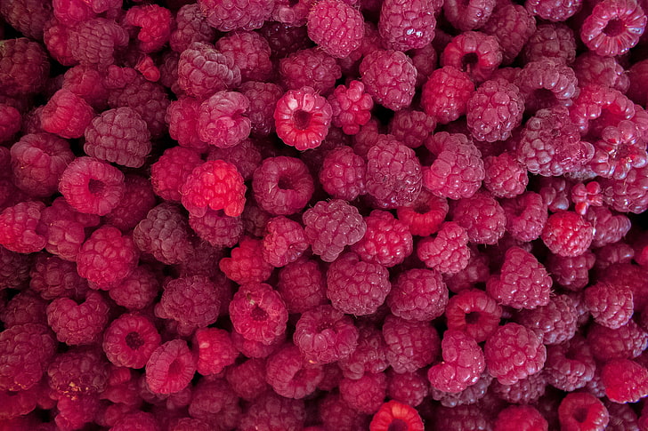 bunch of raspberries, summer, macro, raspberry, berry, HD wallpaper