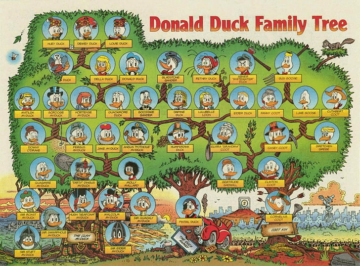 ducks infographics donald duck scrooge mcduck family tree Animals Ducks HD Art , ducks, Donald Duck, infographics, Scrooge McDuck, family tree, HD wallpaper
