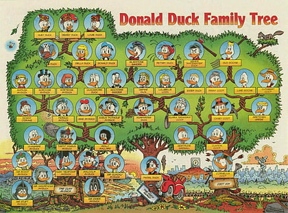 ankor infographics donald duck scrooge mcduck släktträd Djur Ankor HD Art, ankor, Donald Duck, infographics, Scrooge McDuck, släktträd, HD tapet HD wallpaper