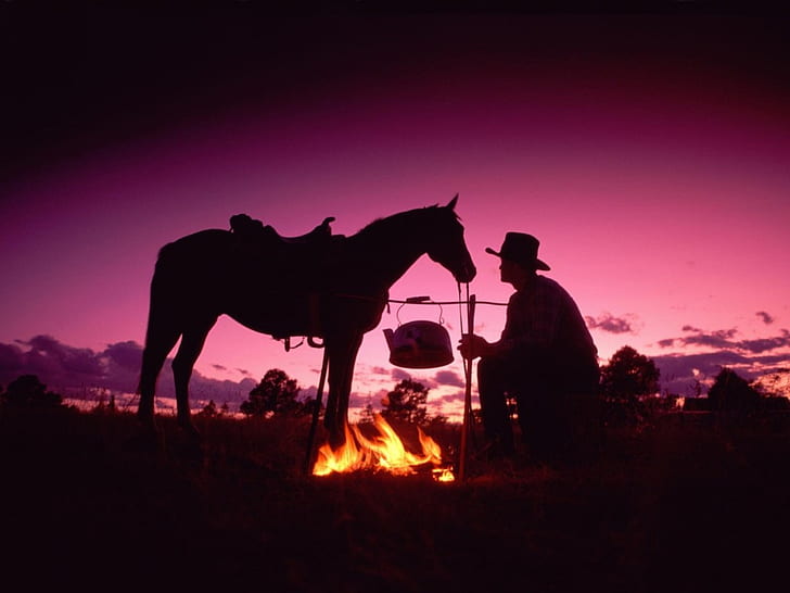 lägereld cowboy Vilda västern kväll abstrakt fotografering HD-konst, häst, cowboy, silhuett, lägereld, rosa himmel, sadel, HD tapet