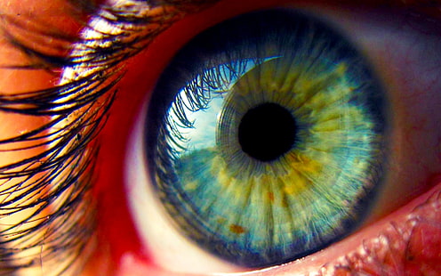 blaues und gelbes Augenlid, Augen, Wimpern, die Pupille, HD-Hintergrundbild HD wallpaper