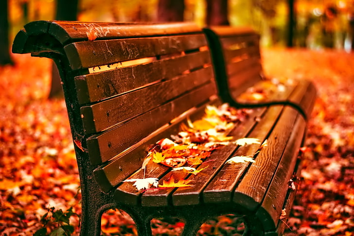 Brown wooden bench, leaves, bench, Park, Autumn, HD wallpaper |  Wallpaperbetter