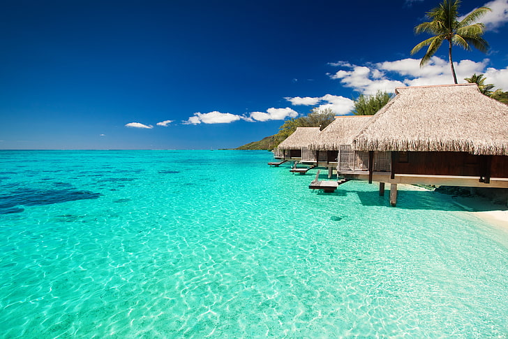 cocotier, maldives, tropical, bungalows, ciel, Fond d'écran HD