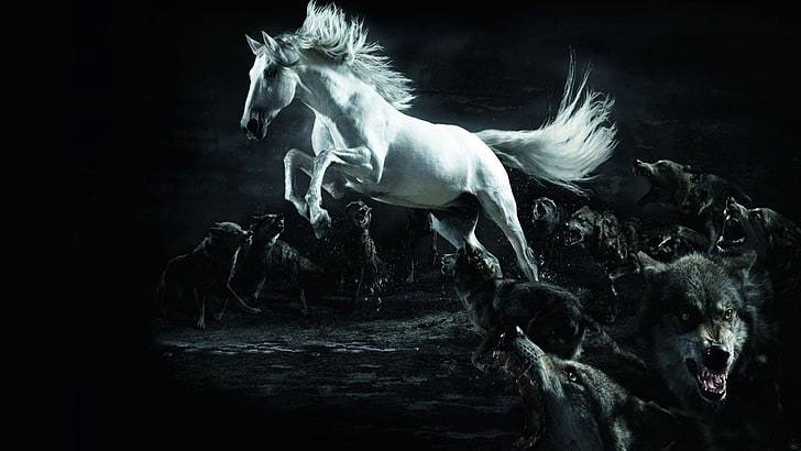horse, wolf, black and white, mane, darkness, mustang, stallion, gray wolf, wildlife, mythology, HD wallpaper