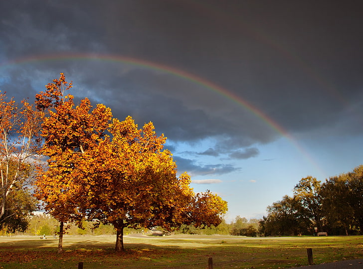 Double Rainbow, bruna träd, Seasons, Autumn, Rainbow, Tree, Rain, California, Fall, Spectrum, Optics, Colors, Sacramento, American River Bikeway, dubbel rainbow hela vägen, meteorologiska, HD tapet