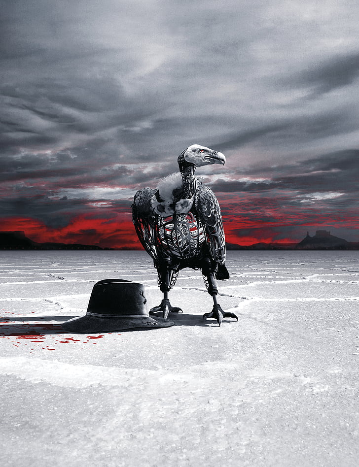 illustration d'oiseau noir, Westworld, Saison 2, 2018, HD, 4K, Fond d'écran HD, fond d'écran de téléphone