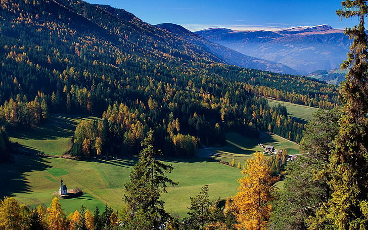 Val Di Funes, alberi, italia, val di funes, boschi, natura e paesaggi, Sfondo HD