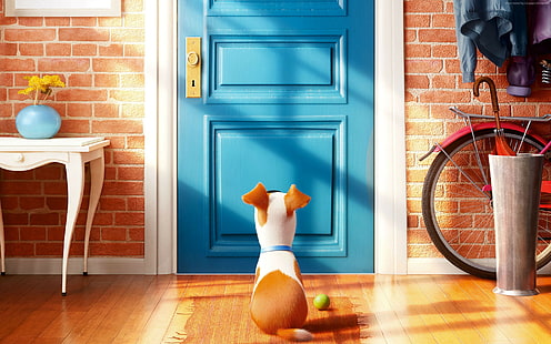 cartone animato, I migliori film di animazione del 2016, La vita segreta degli animali domestici, Sfondo HD HD wallpaper
