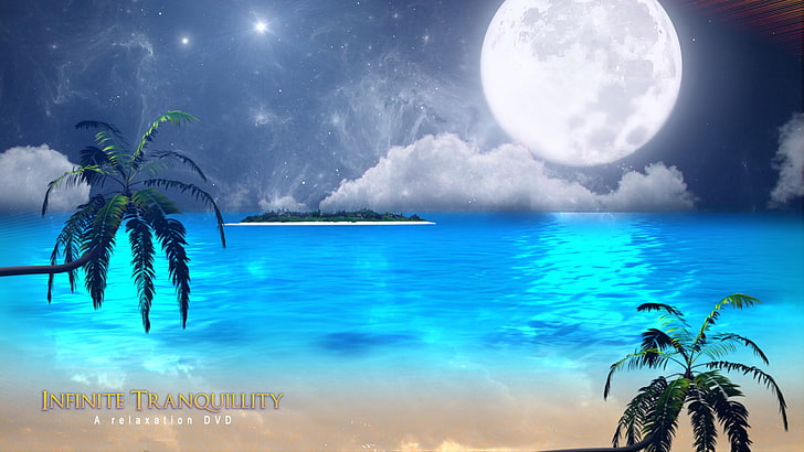 شاطئ القمر الاسترخاء الاسترخاء الشاطئ الكامل jpg الطبيعة الشواطئ HD الفن ، الشاطئ ، القمر الاسترخاء ، plams، خلفية HD