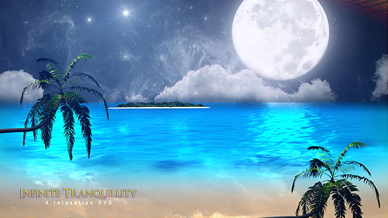 해변 달 휴식 편안한 해변 전체 jpg 자연 해변 HD 아트, 해변, 달 휴식, plams, HD 배경 화면 HD wallpaper