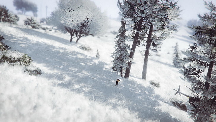 Grand Theft Auto V, Grand Theft Auto Online, snow, wood, helicopters, Rockstar Games, hunter, shadow, HD wallpaper