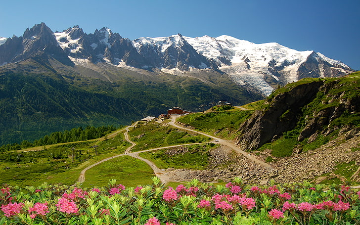Mont Blanc Glacier Flowers Snow Mountain Lodge Time, HD wallpaper