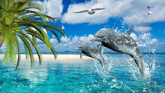 Dolphins-summer-sea-gulls-palm-Desktop-Wallpaper-HD-for-mobile-phones-and-laptops-2560 × 1440, วอลล์เปเปอร์ HD HD wallpaper
