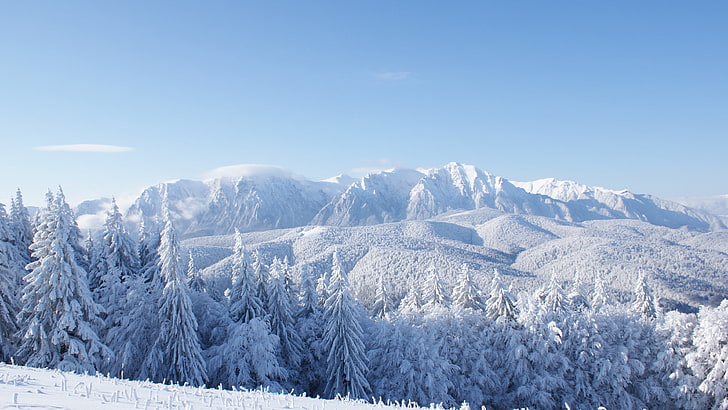 schneebedeckte Berge, Berge, Wald, Bäume, Schnee, Winter, 4k, HD-Hintergrundbild