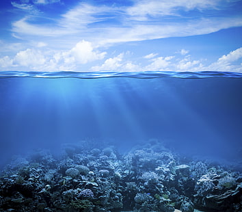 الشعاب المرجانية ، 4K ، تحت البحر ، تحت الماء، خلفية HD HD wallpaper
