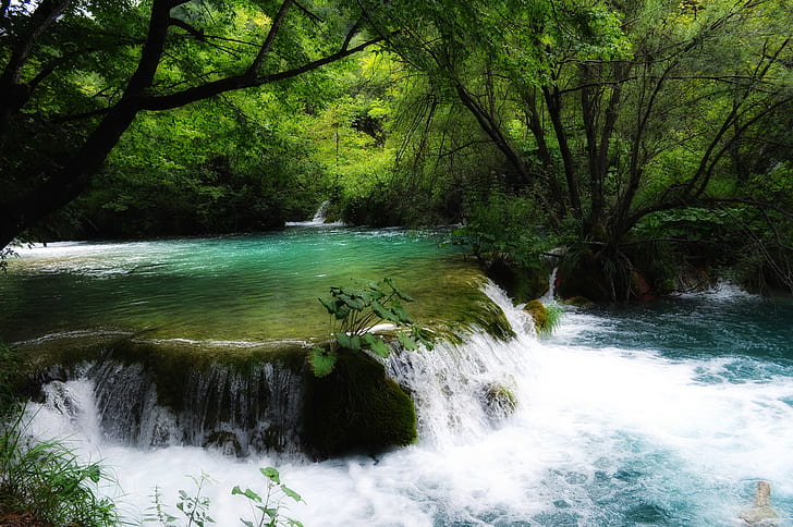 Croatia, waterfall, water, river, nature, Plitvice National Park, HD wallpaper