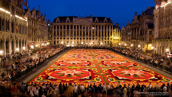 Grand Place Çiçek Halı, Brüksel, Belçika, Mimari, HD masaüstü duvar kağıdı HD wallpaper