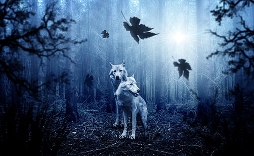 White Wolves, Forest, Autumn, two white wolves wallpaper, Animals, Wild, Dark, Autumn, Night, Trees, Leaves, Fantasy, Forest, Wolf, Fall, surreal, Hunters, photomanipulation, woves, HD wallpaper HD wallpaper